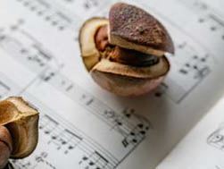 �N���~�ƕ��ʎʐ^